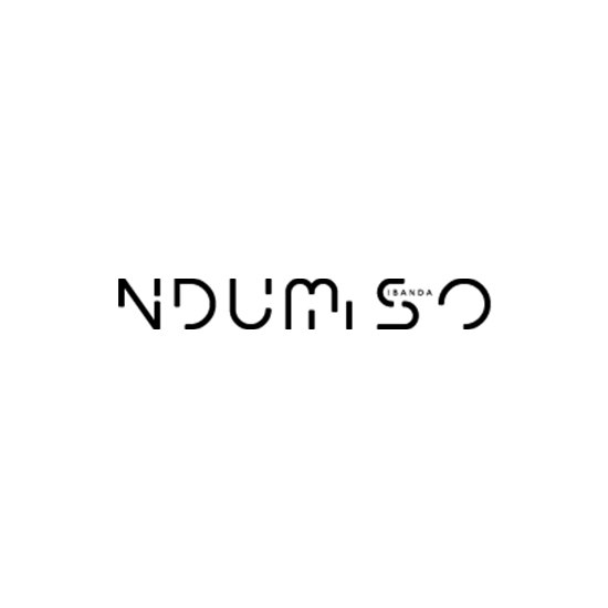 Ndumiso-Sibanda-Logo